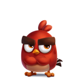Angry Bird