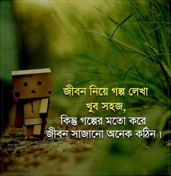 momin sarkar