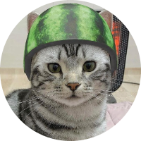 MD ABU BOURHAN SHISHIR