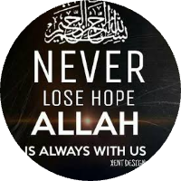 M Abul Hossen