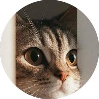 Suraiya Islam Ayesha