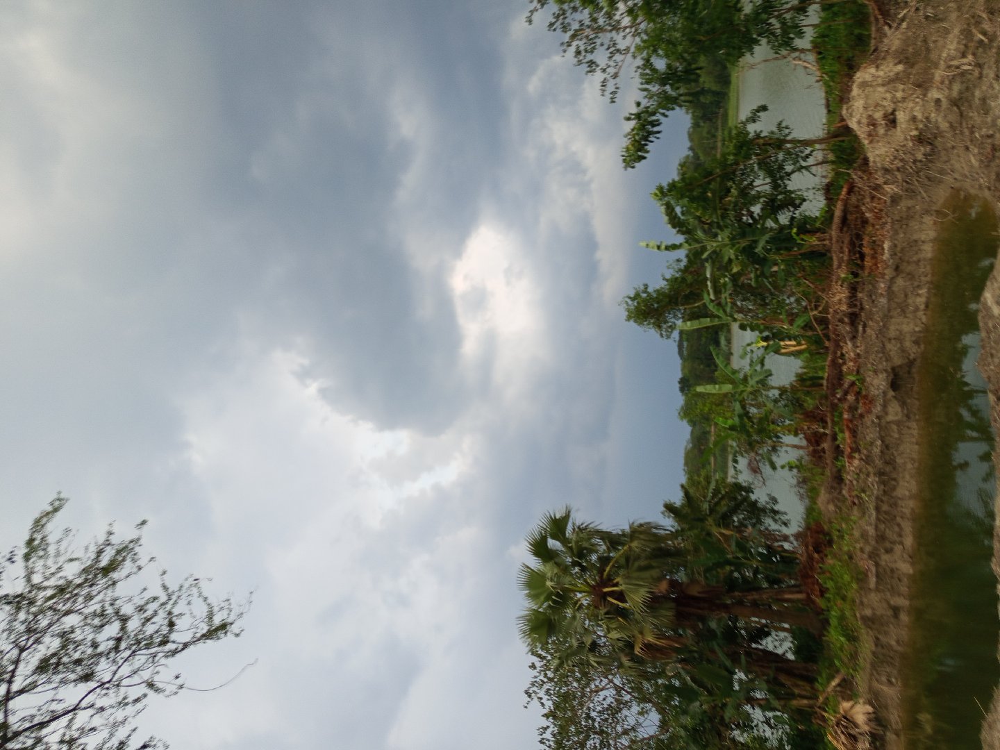 মায়াবী কন্যা