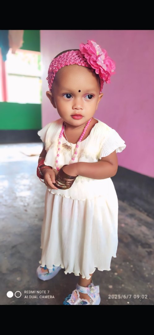 Md Akramul Hasan Rakib