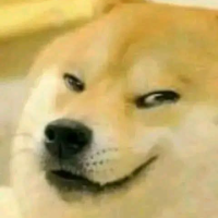 Md:Abdullah al fahad 