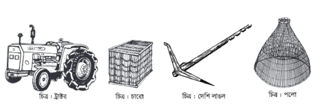 Бүкіл сыныптың кискасын жалады