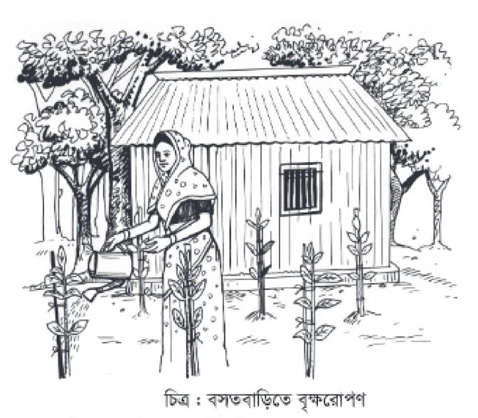 Кесілген түкті киска