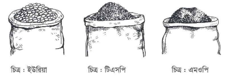 Жас қытайлық қыздар порно онлайн