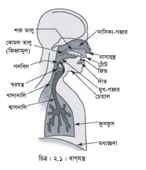 Jinsiy olatingizdagi tatuirovka sizga yoqadi.