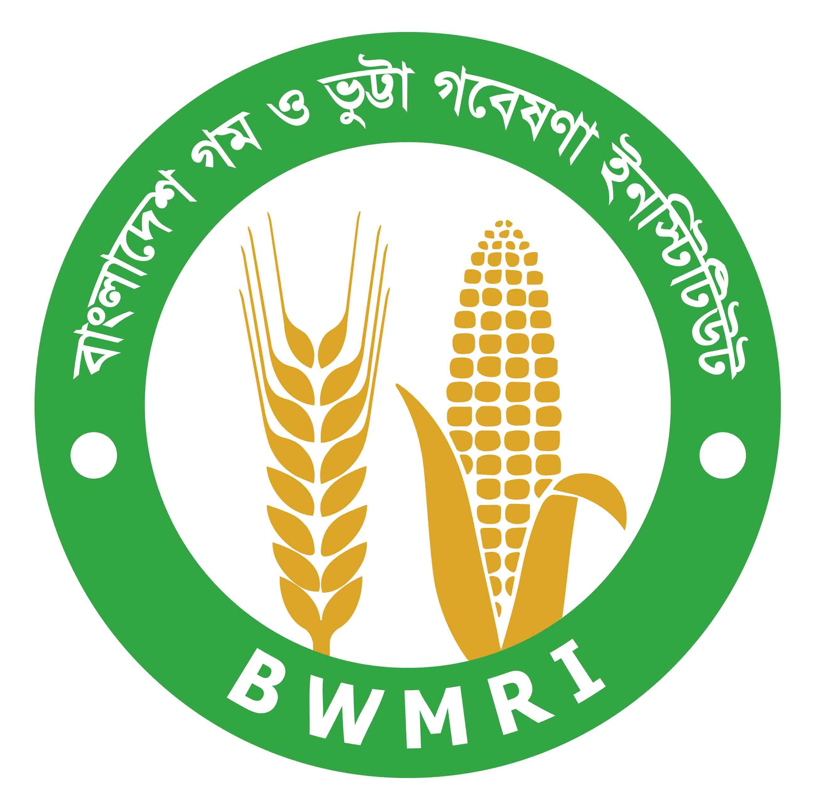 বাংলাদেশ গম ও ভুট্টা গবেষণা ইনস্টিটিউট